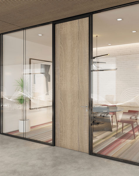 Frameless Glass Partitions & Doors